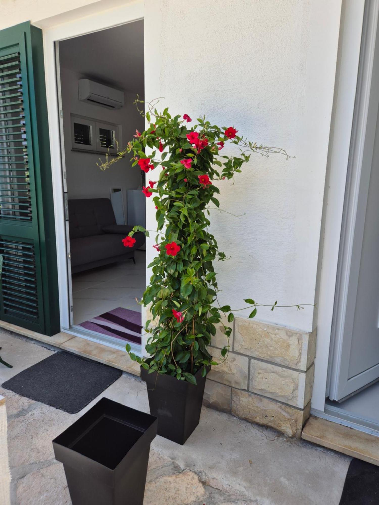 Apartman Bauer - Omis- Nemira Zewnętrze zdjęcie